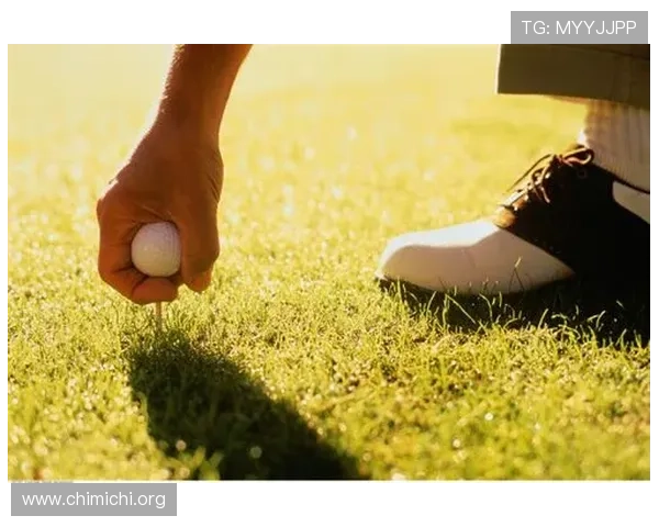 球友会体育app官网会员权益介绍，享受专属运动资源与服务保障