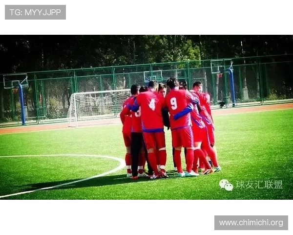 球友体育官网入口网址安全可靠的登录入口地址及使用技巧详解